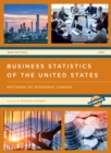 Image for Business statistics of the United States 2021  : patterns of economic change