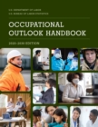 Image for Occupational outlook handbook, 2020-2030