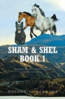 Image for Sham &amp; Shel Book 1