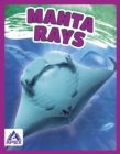 Image for Giants of the Sea: Manta Rays