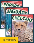Image for Wild Cats (Set of 8)