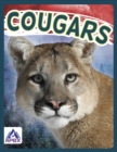 Image for Wild Cats: Cougars