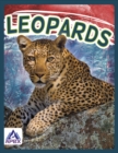Image for Wild Cats: Leopards