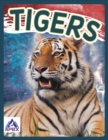 Image for Wild Cats: Tigers