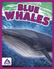 Image for Giants of the Sea: Blue Whales
