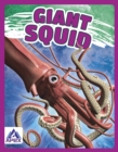 Image for Giant squid