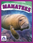 Image for Giants of the Sea: Manatees