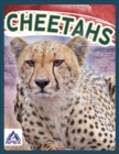 Image for Wild Cats: Cheetahs