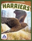 Image for Birds of Prey: Harriers