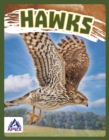 Image for Birds of Prey: Hawk