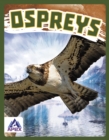 Image for Birds of Prey: Ospreys