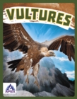 Image for Birds of Prey: Vultures