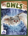 Image for Birds of Prey: Owls