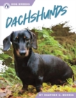 Image for Dog Breeds: Dachshunds