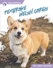 Image for Dog Breeds: Pembroke Welsh Corgis