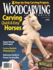Image for Woodcarving Illustrated Issue 48 Fall 2009