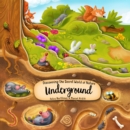 Image for Discovering the Secret World of Nature Underground