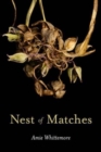 Image for Nest of Matches