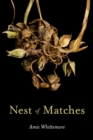 Image for Nest of Matches