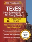 Image for TExES Core Subjects EC-6 391 Study Guide : Test Prep with Practice Exam Questions [Updated for the New Outline]