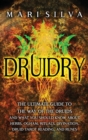 Image for Druidry