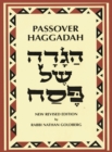 Image for Passover Haggadah Transliterated Large Type