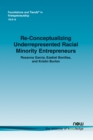Image for Re-Conceptualizing Underrepresented Racial Minority Entrepreneurs