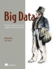Image for Big Data: Principles and Best Practices of Scalable Realtime Data Systems
