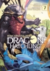 Image for Reincarnated as a Dragon Hatchling (Light Novel) Vol. 7