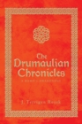 Image for Drumaulian Chronicles: A Hero&#39;s Awakening