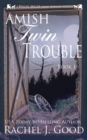 Image for Amish Twin Trouble : A Benuel Miller Amish Suspense Novel