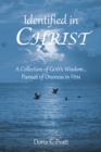 Image for Identified in CHRIST: A Collection of GODaEUR(tm)S Wisdom... Pursuit of Oneness in HIM