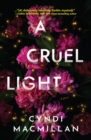 Image for A cruel light  : a novel