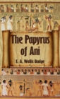 Image for Egyptian Book of the Dead : The Complete Papyrus of Ani: The Complete Papyrus of Ani Hardcover