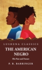 Image for The American Negro His Past and Future