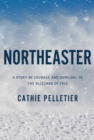 Image for Northeaster  : a story of courage and survival in the blizzard of 1952