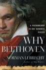 Image for Why Beethoven : A Phenomenon in One Hundred Pieces