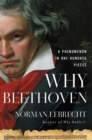 Image for Why Beethoven: A Phenomenon in One Hundred Pieces
