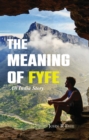 Image for The Meaning of Fyfe : An India Story: An India Story