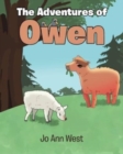 Image for The Adventures of Owen