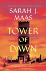 Image for Tower of Dawn