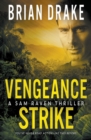 Image for Vengeance Strike