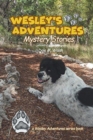 Image for Wesley&#39;s Adventures : Mystery Stories