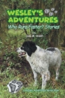 Image for Wesley&#39;s Adventures : &quot;Who Runs Faster?&quot; Stories