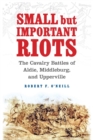 Image for Small but Important Riots: The Cavalry Battles of Aldie, Middleburg, and Upperville