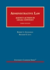Image for Administrative Law : Agency Action in Legal Context