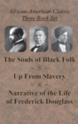 Image for African-American Classic Three Book Set - The Souls of Black Folk, Up From Slavery, and Narrative of the Life of Frederick Douglass