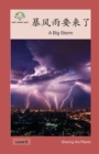 Image for ?????? : A Big Storm