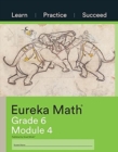 Image for Eureka Math Grade 6 Learn, Practice, Succeed Workbook #4 (Module 4)