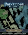 Image for Pathfinder Flip-Mat: Bigger Flooded Dungeon